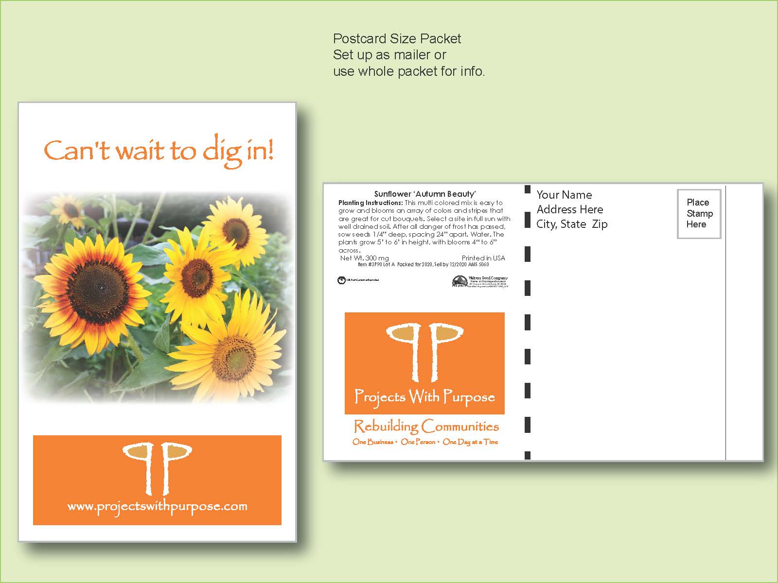 Sunflower Autumn Beauty Seed Packet - Postcard Mailer Size 4" x 6.5"