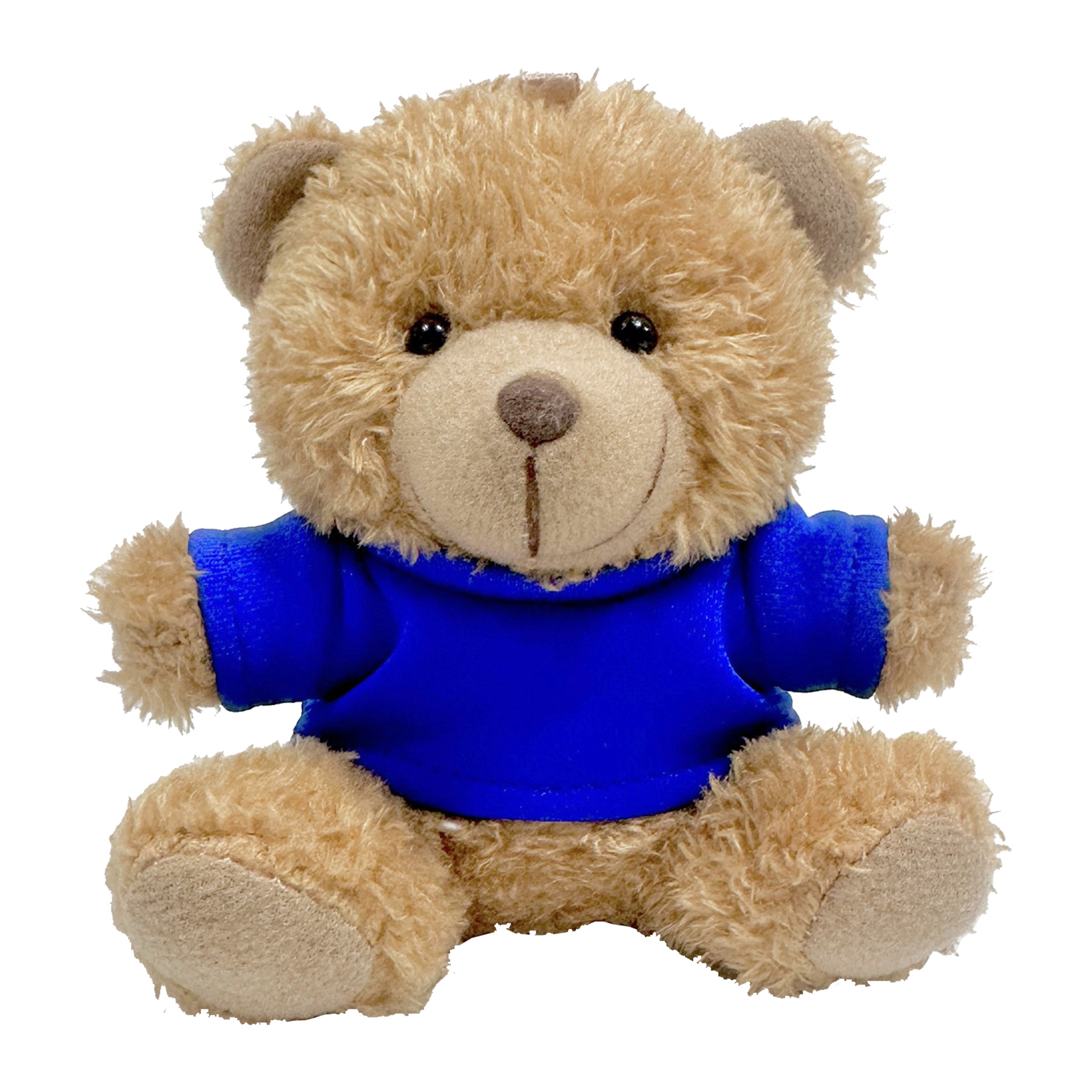 Fluffy Teddy Bear Plush Doll with Keychain Charm 17