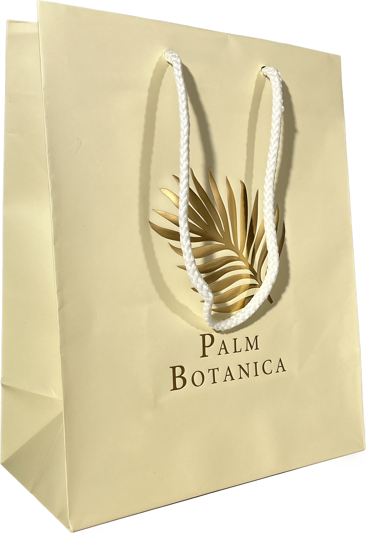 Matte European Shopping Bags 16