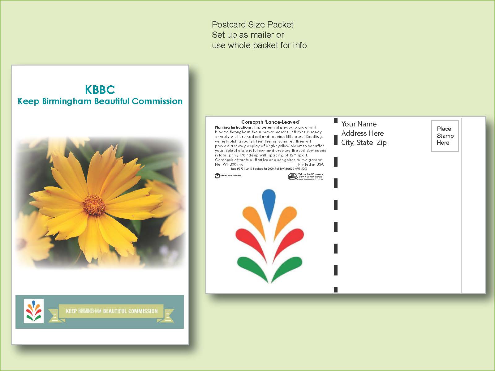 Coreopsis Lance-Leafed Seed Packet - Postcard Mailer Size 4" x 6.5"
