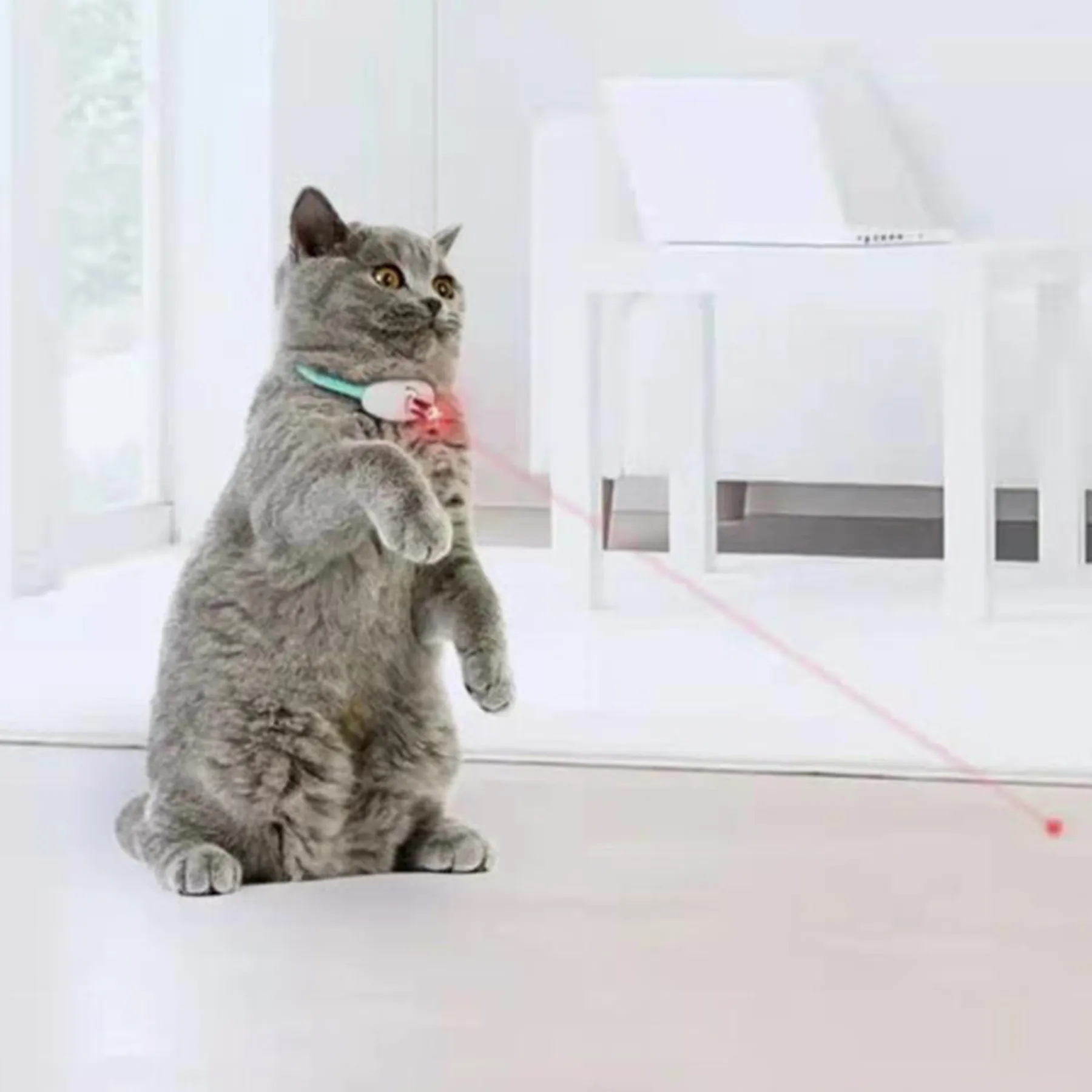 Polypropylene Automatic Cat Teasing Laser Pen 8