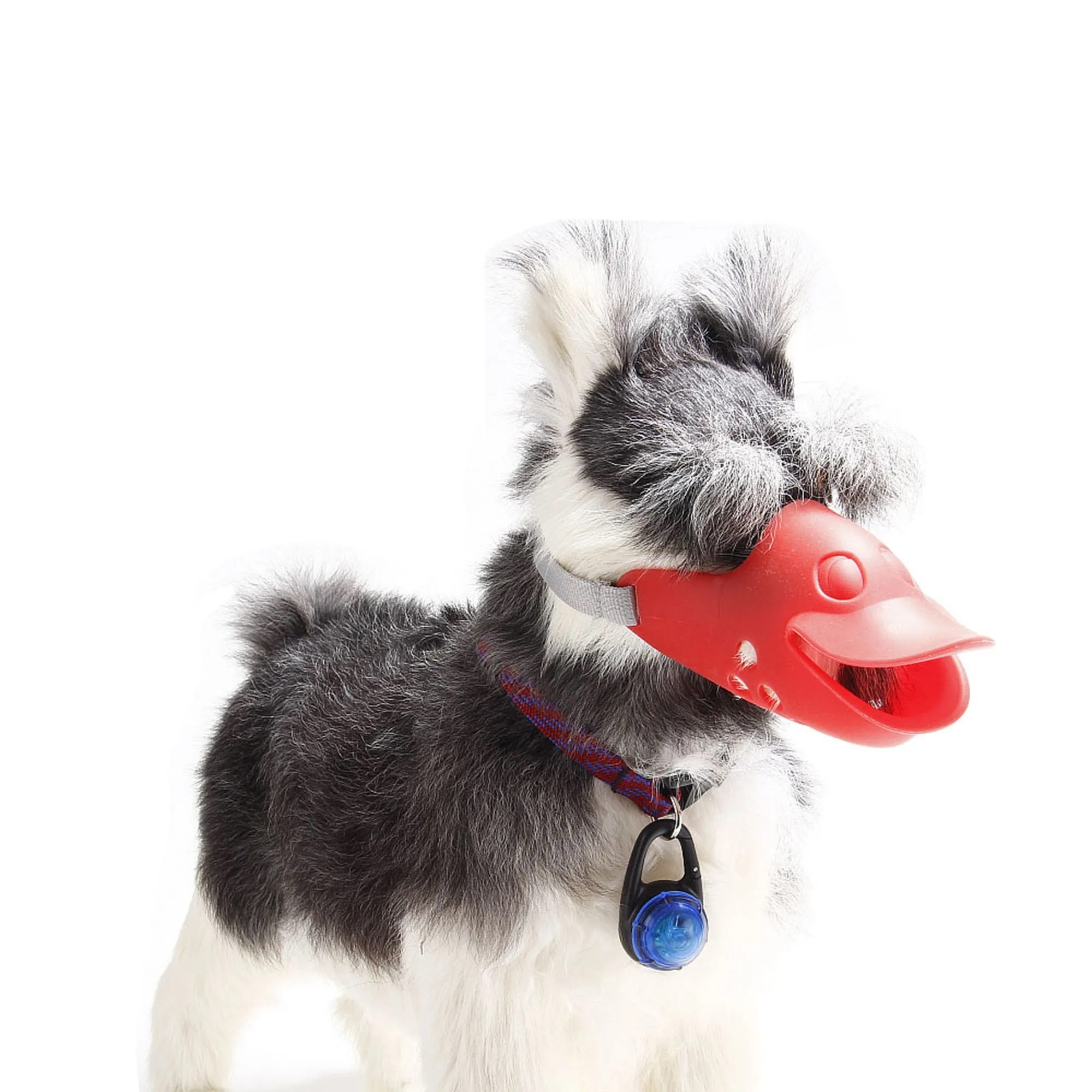 Waterproof Pendant For Pets 15