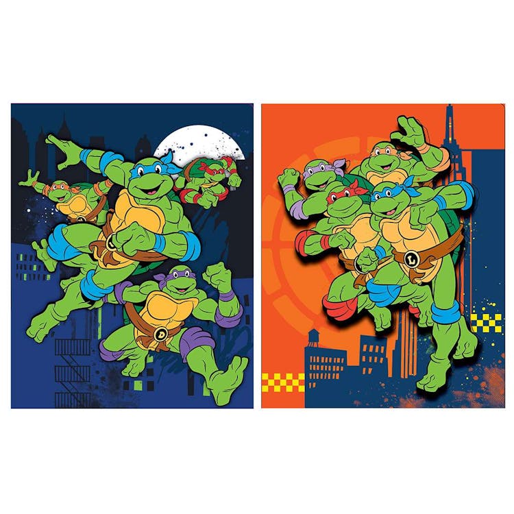 TMNT Portfolios - Assorted 2