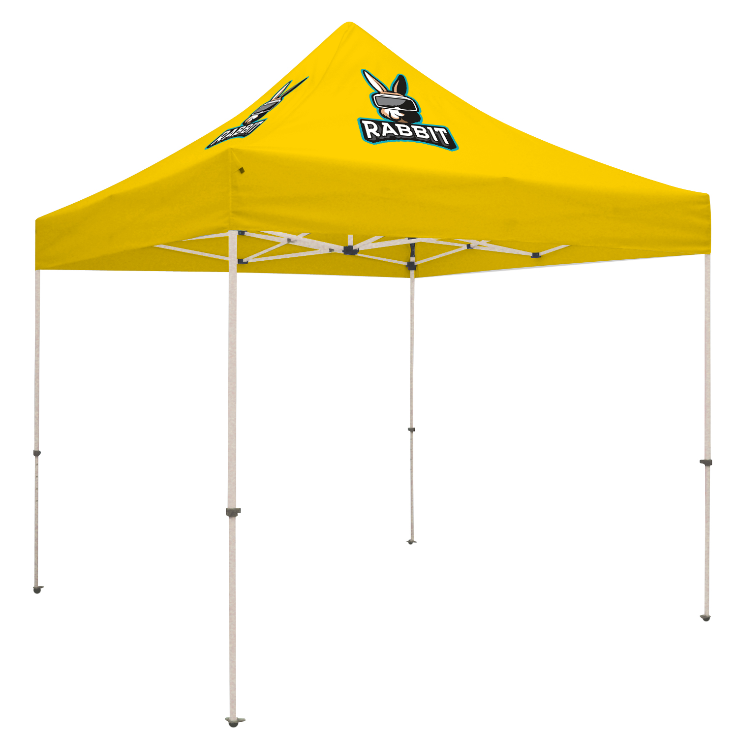 10' Standard Tent Kit (Full-Color Imprint, 2 Locations) 52