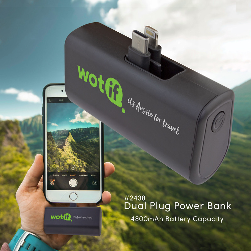 Dual Plug Power Bank