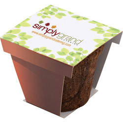 ◆coco◆ COCO⭐️ coco Chaco - Women's ZX/2 Classic | Outdoor Gear