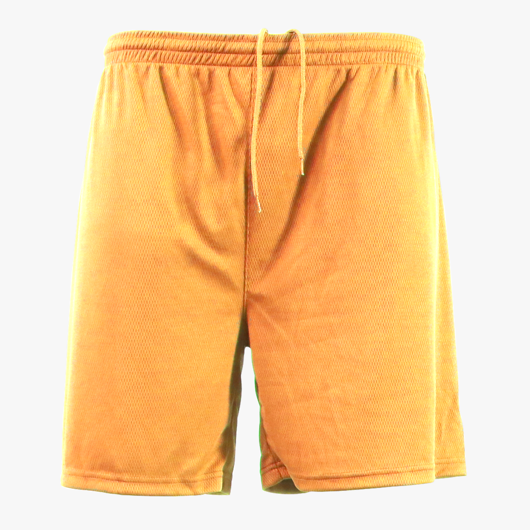 #P336 / Aero Mesh Men's P.E Short (7" Inseam) 30