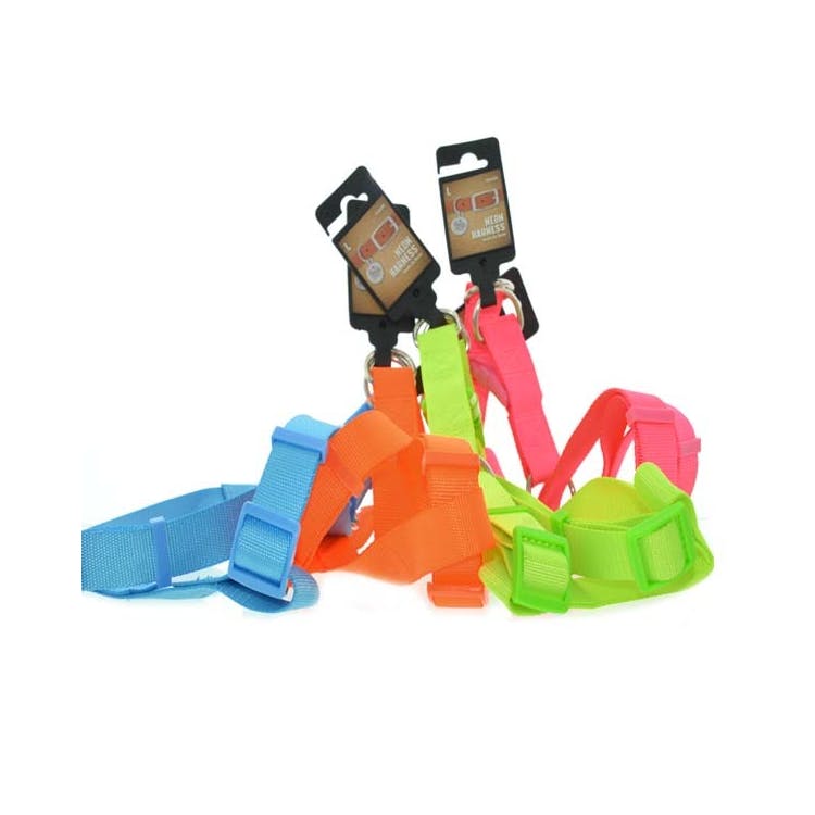 Neon Pet Harnesses - Assorted Large 3
