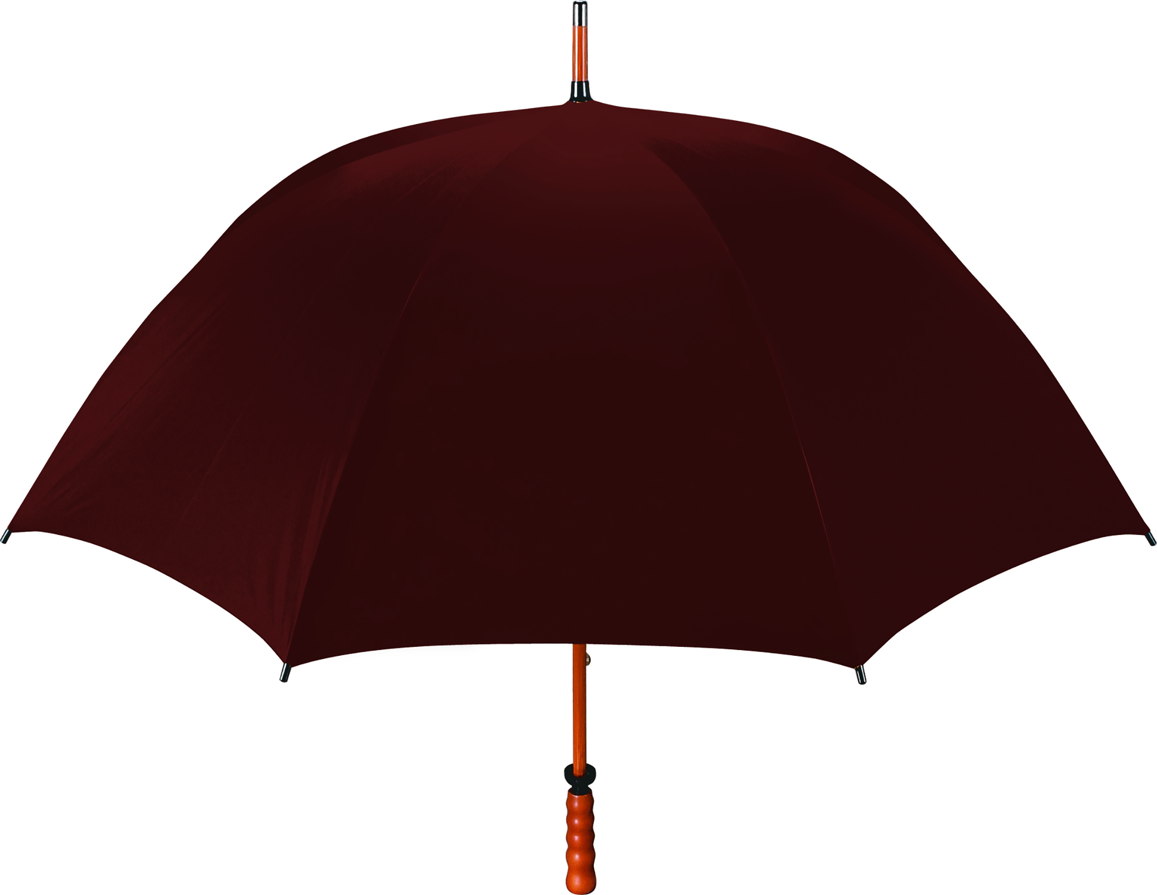 The Eagle Umbrella 41