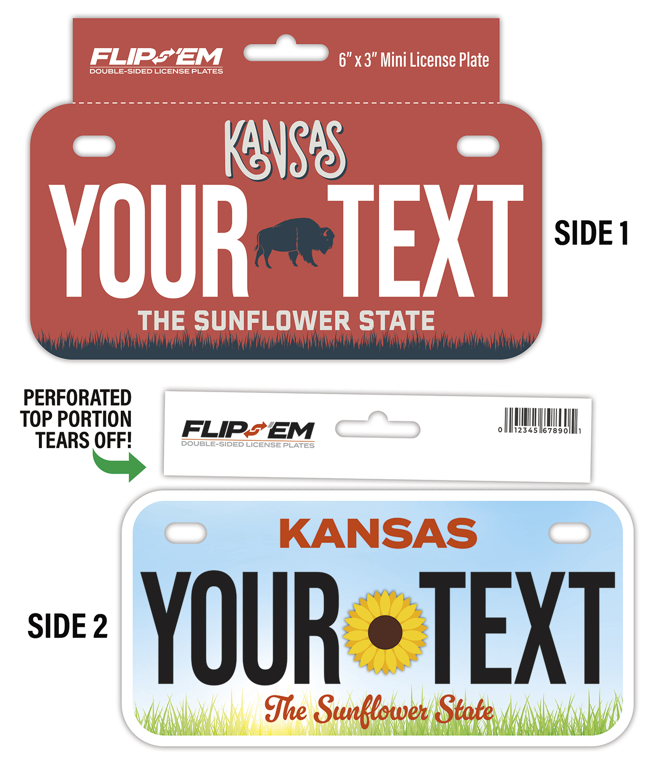6" x 3" Flip 'Em Double-Sided Tear-Off Mini License Plate with Hanger (6" x 4")