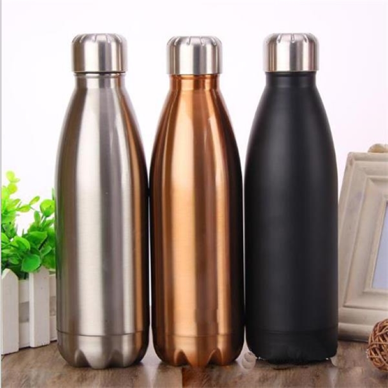 17 oz Double Wall Stainless Bottle