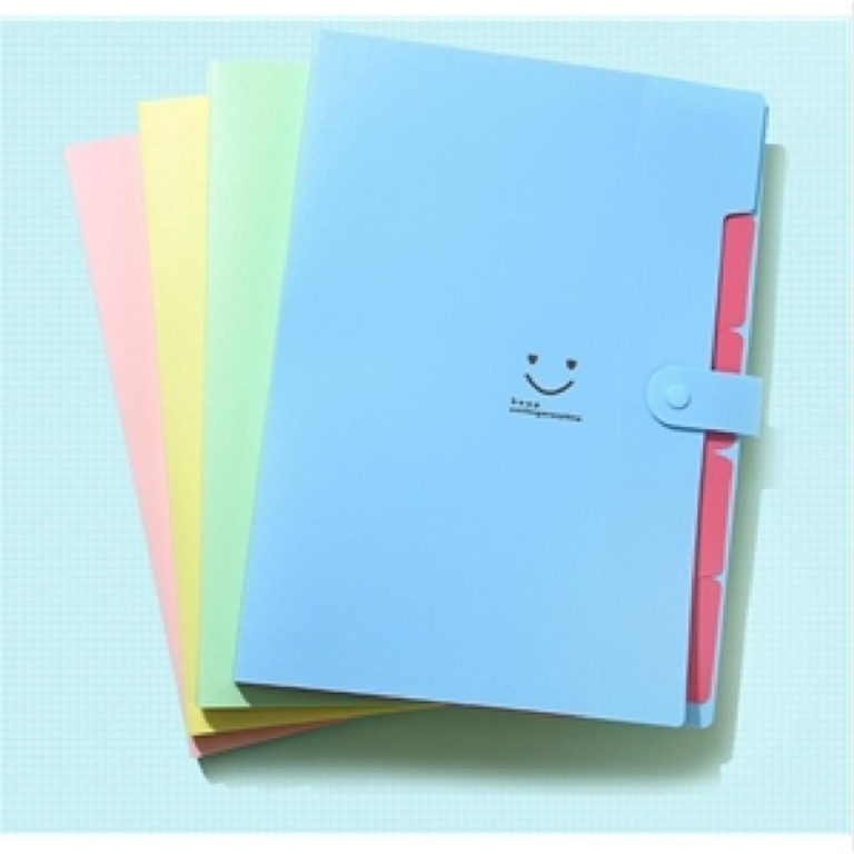 5-Pocket Colorful Drawer File folder