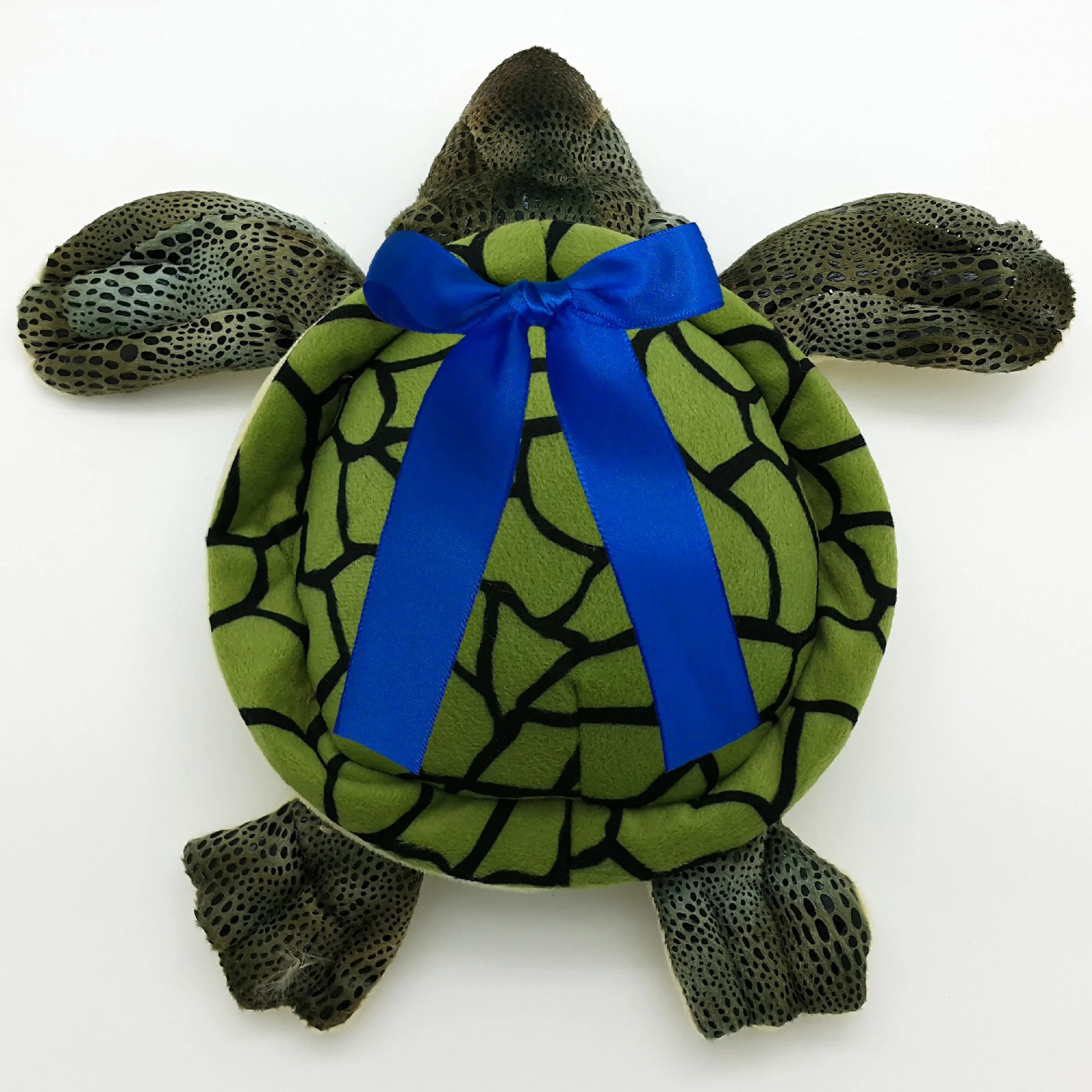 11" Green Sea Turtle 7