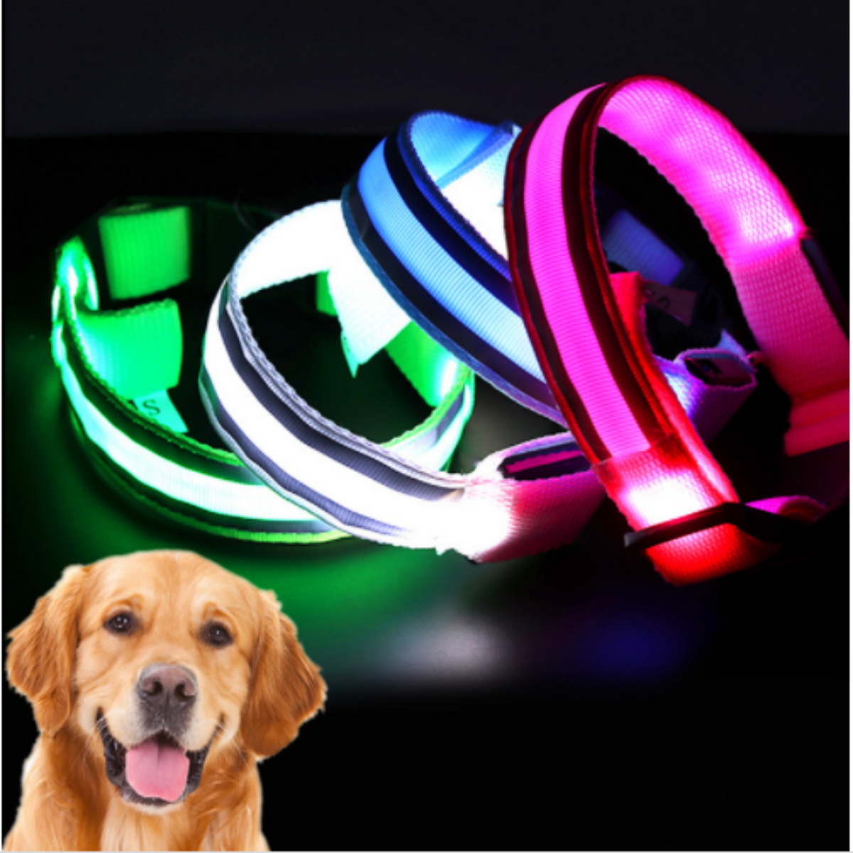 LED Dog Collar