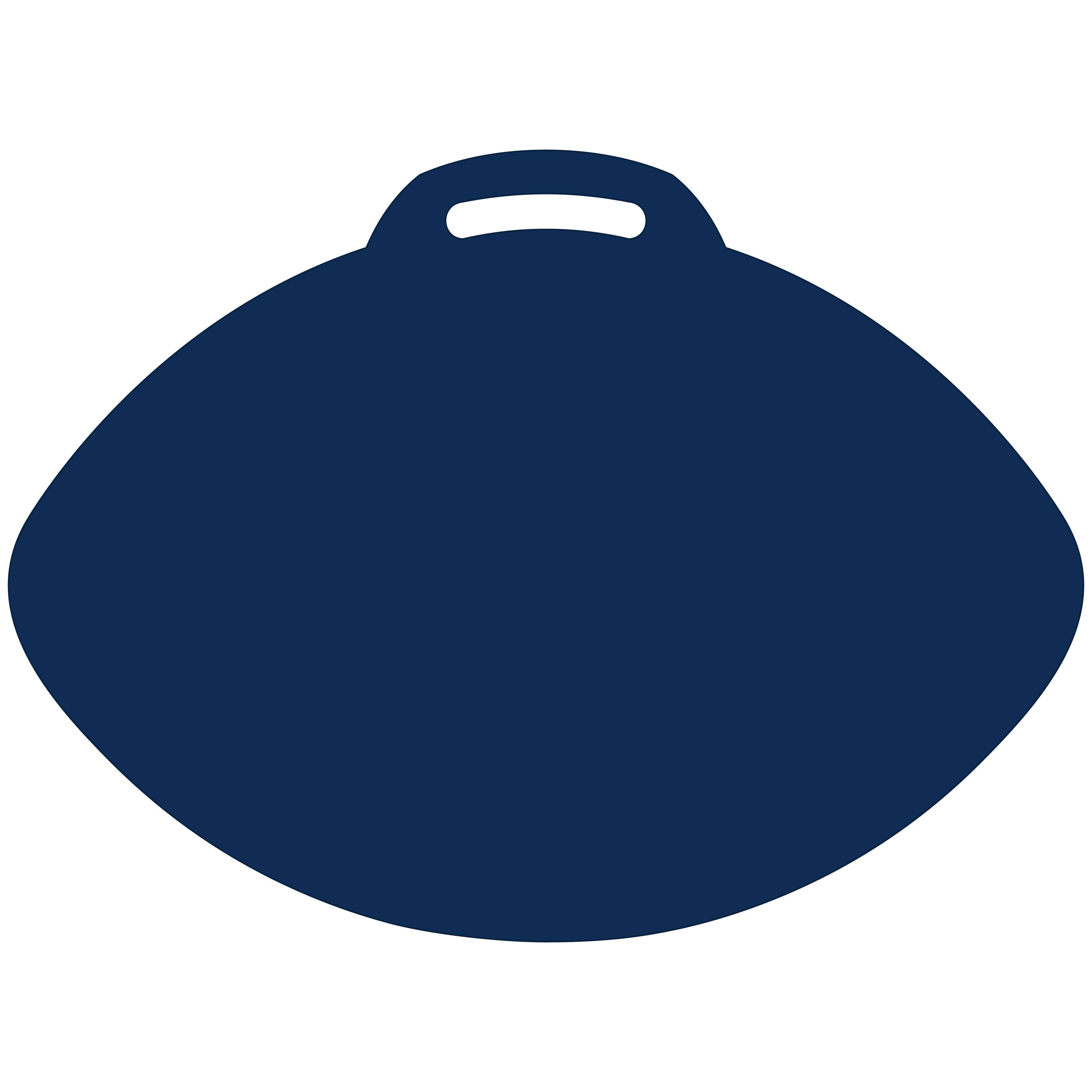 Football-Shaped Vinyl Stadium Cushion (18") 42