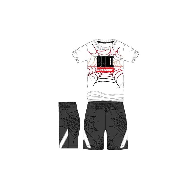 Boys 2 Piece Short Sets - Size 0-9M 3
