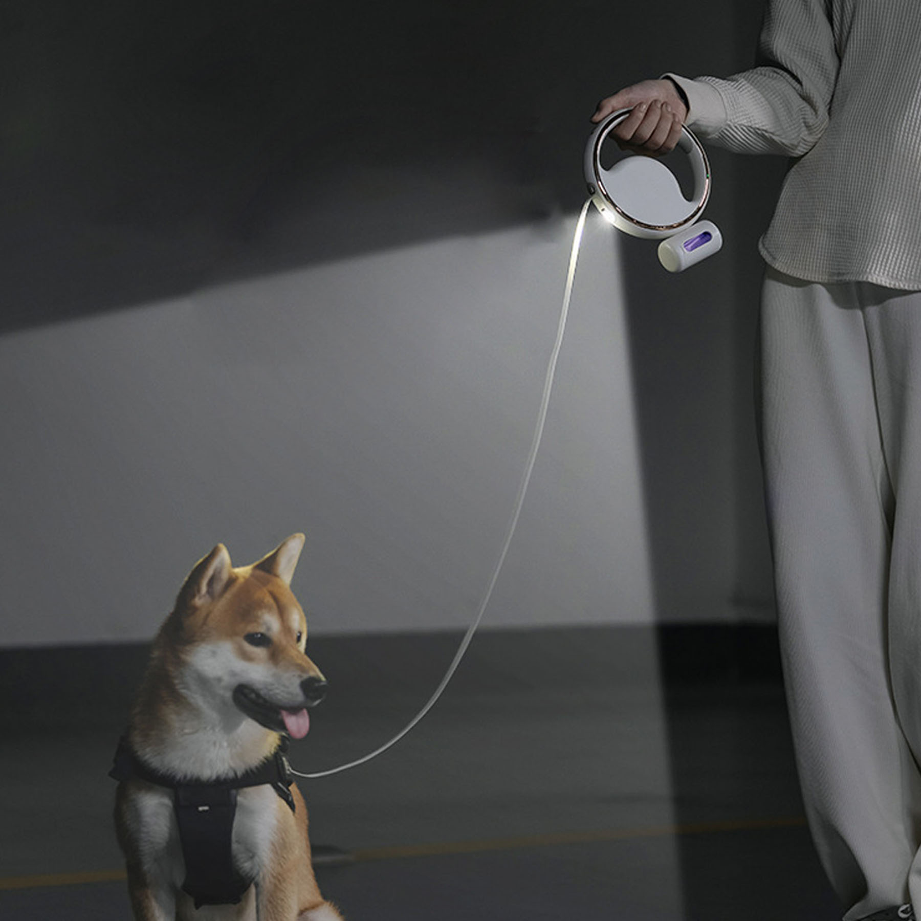 Led Luminous Telescopic Leash 11