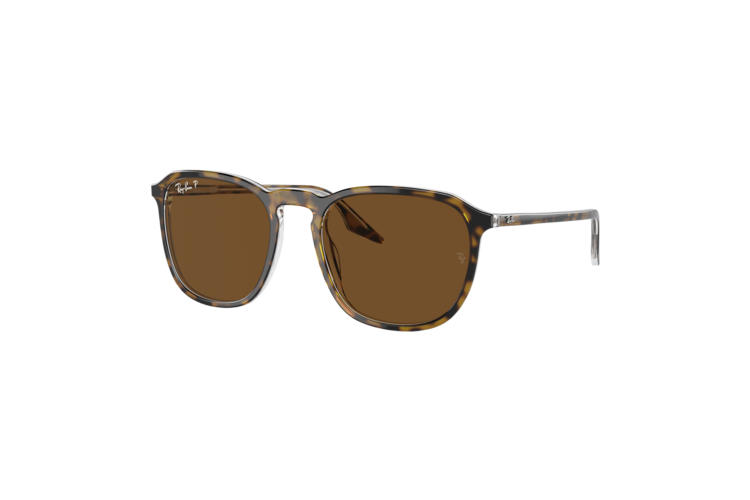 Ray-Ban Polarized RB2203 Sunglasses 3