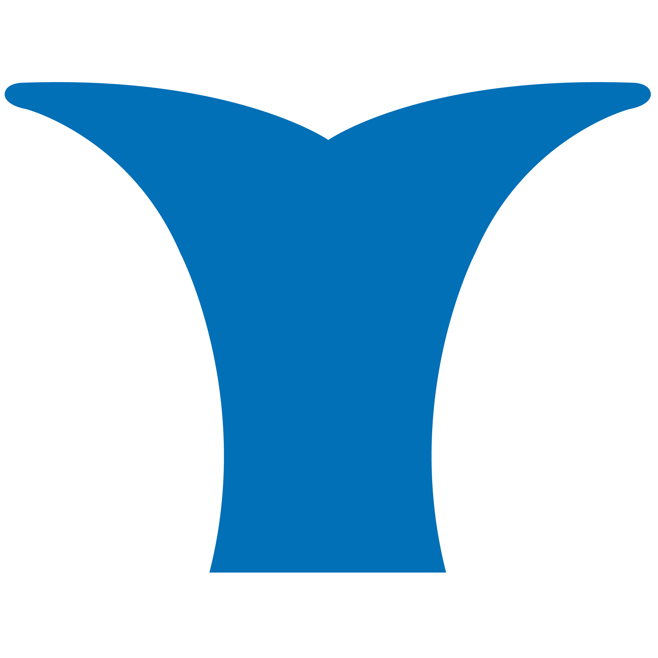 Whale Tail 49