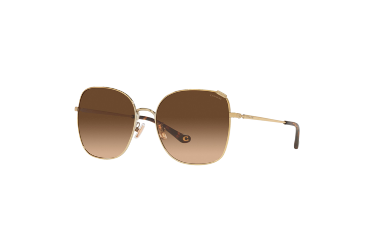 Coach Women's HC7133 Sunglasses 2