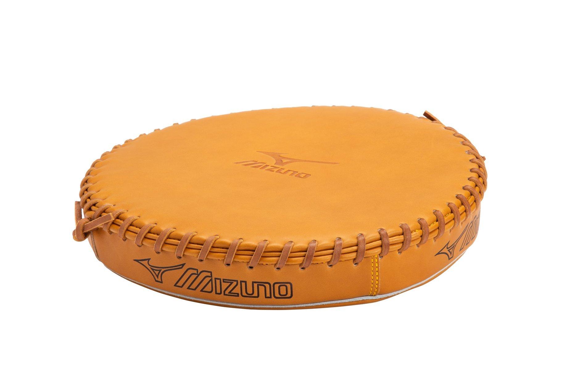 Ball Glove Pounding Pad 10