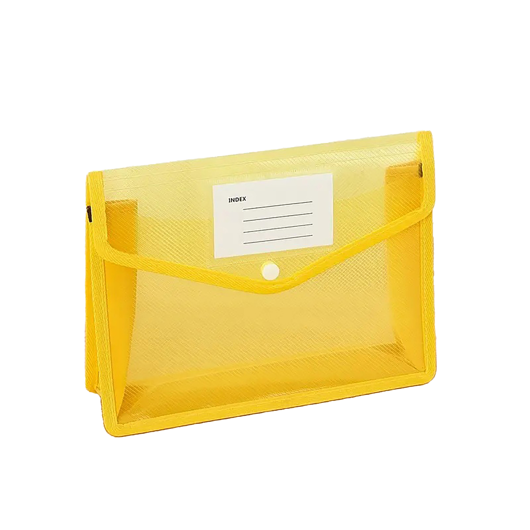 Plastic Expanding Document Folder 30
