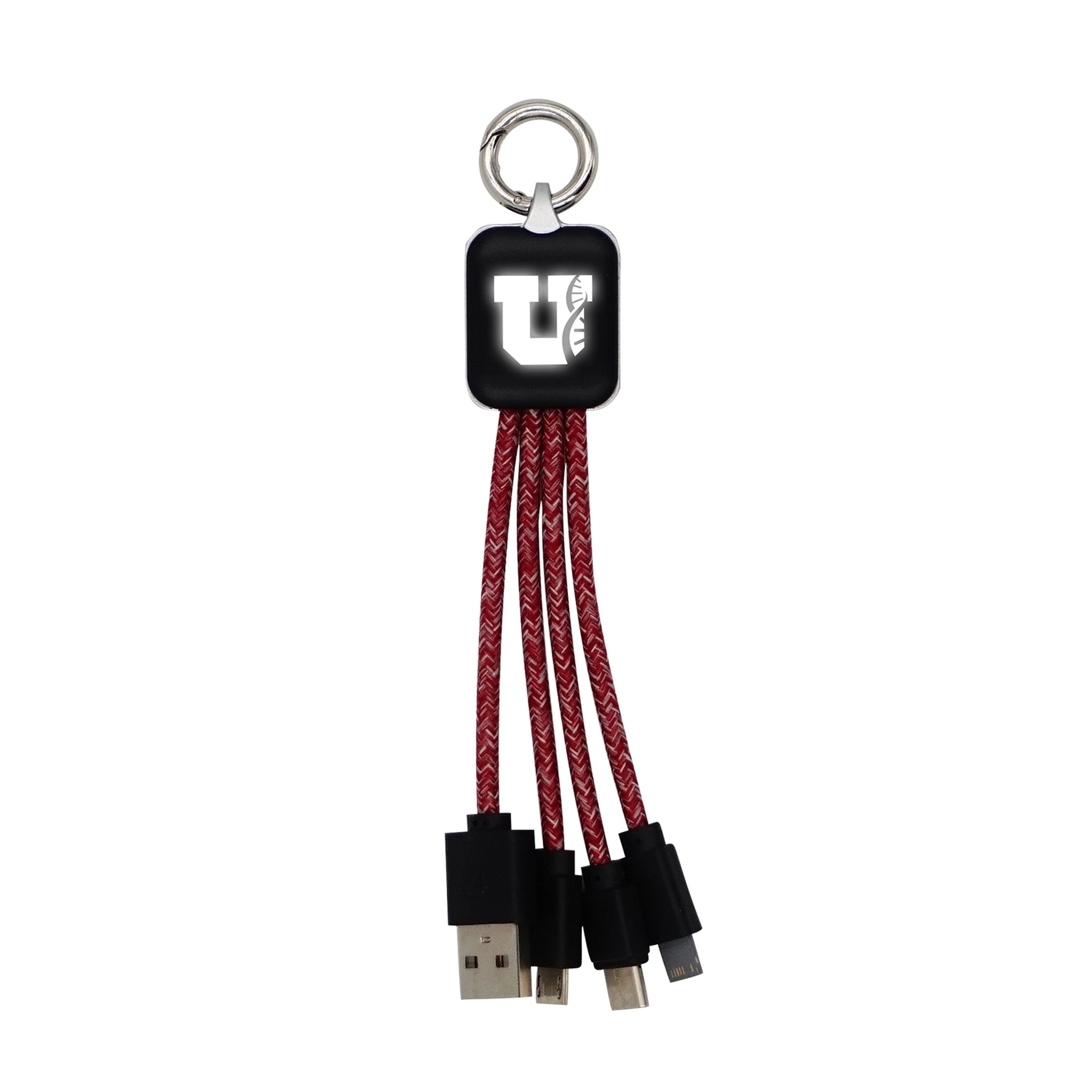 Ridge Logo Light Up Cable with Type C USB 4