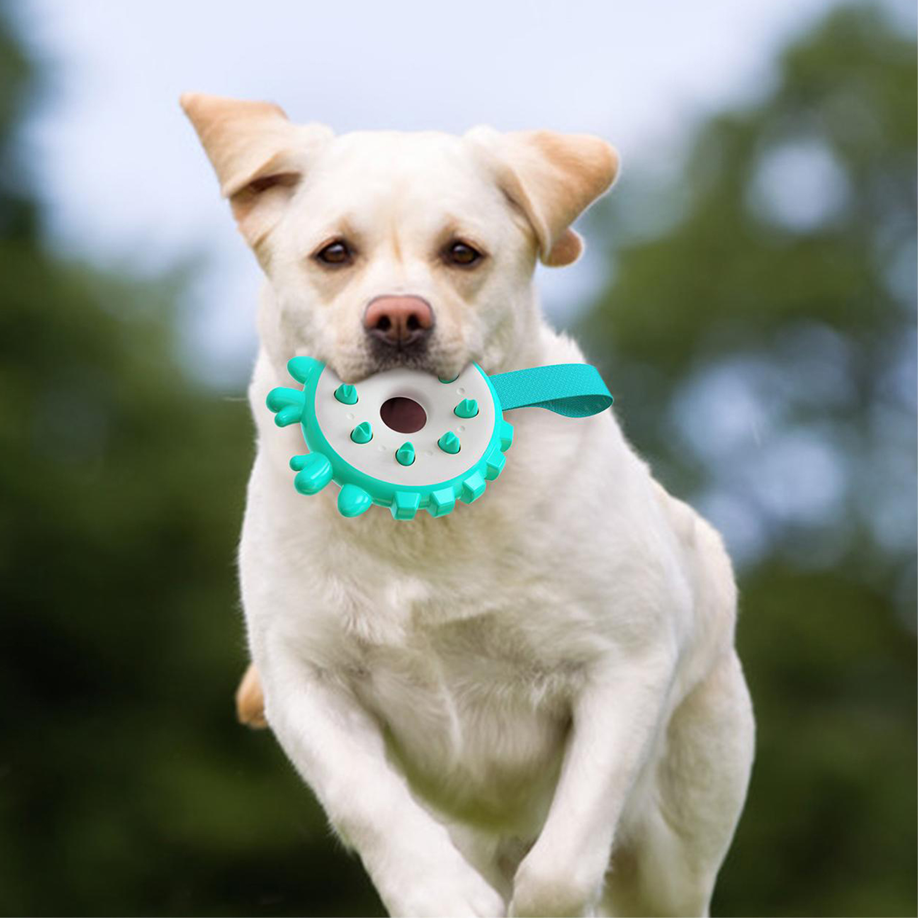Plastic Tough Stick Dog chew Toys Pet Supplies 9