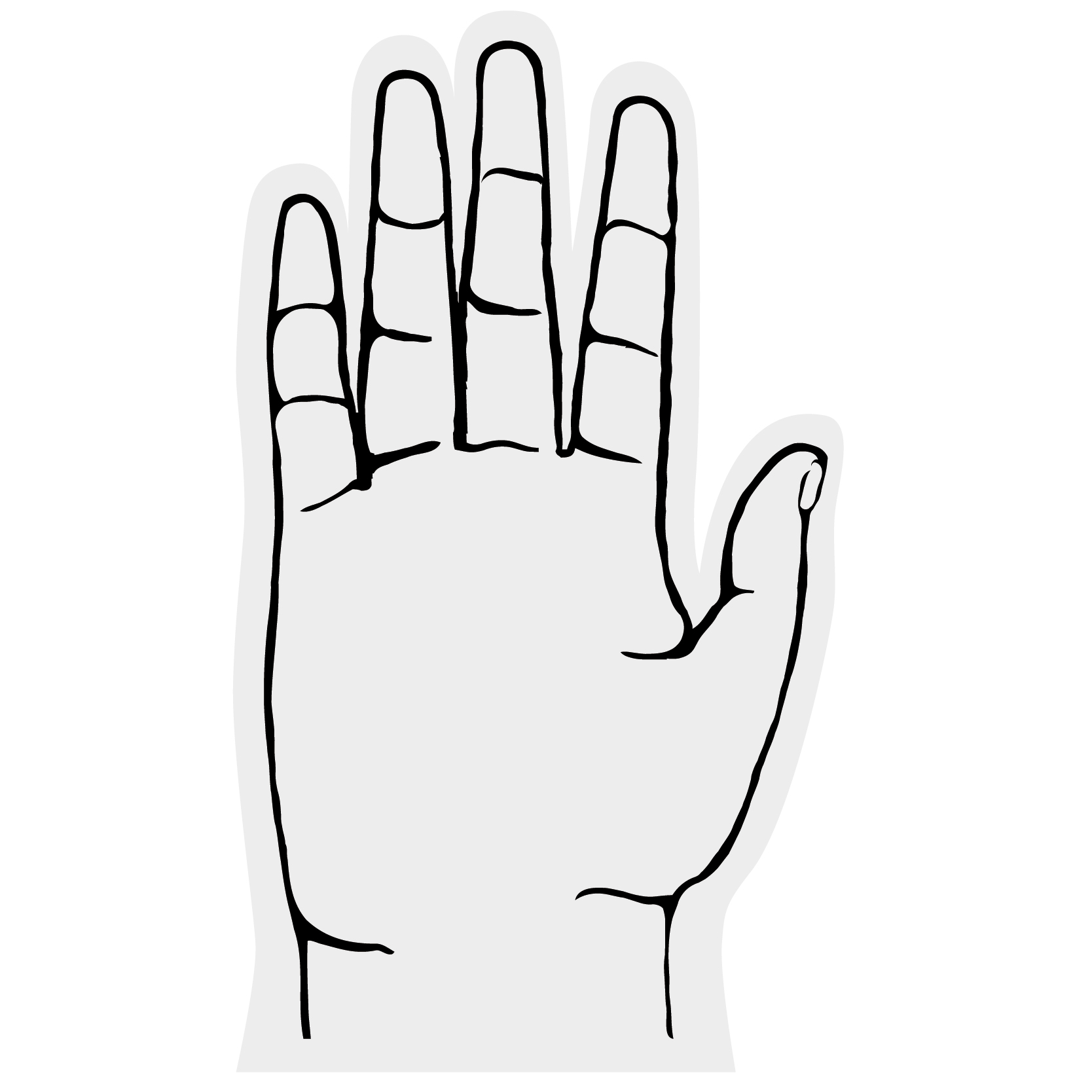 5 Finger Foam hand 48