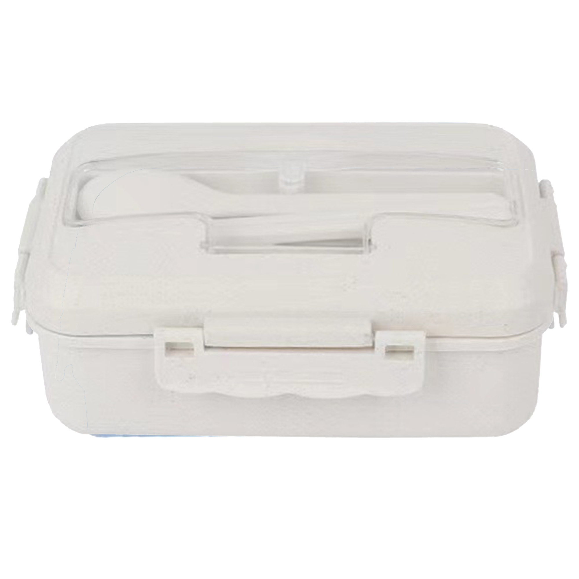 Divided Plastic Lunch Box 10