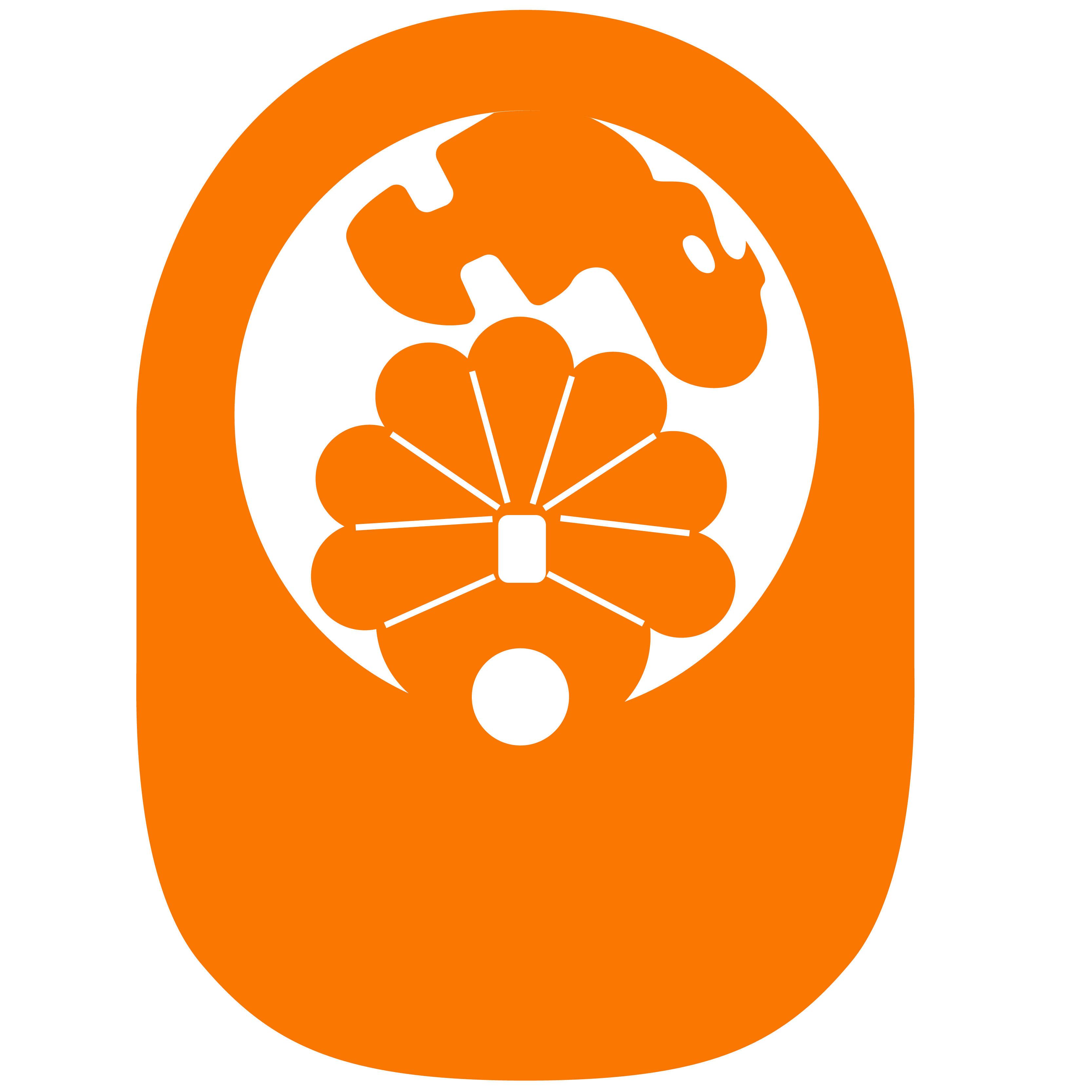 Turkey PopUp Visor 66