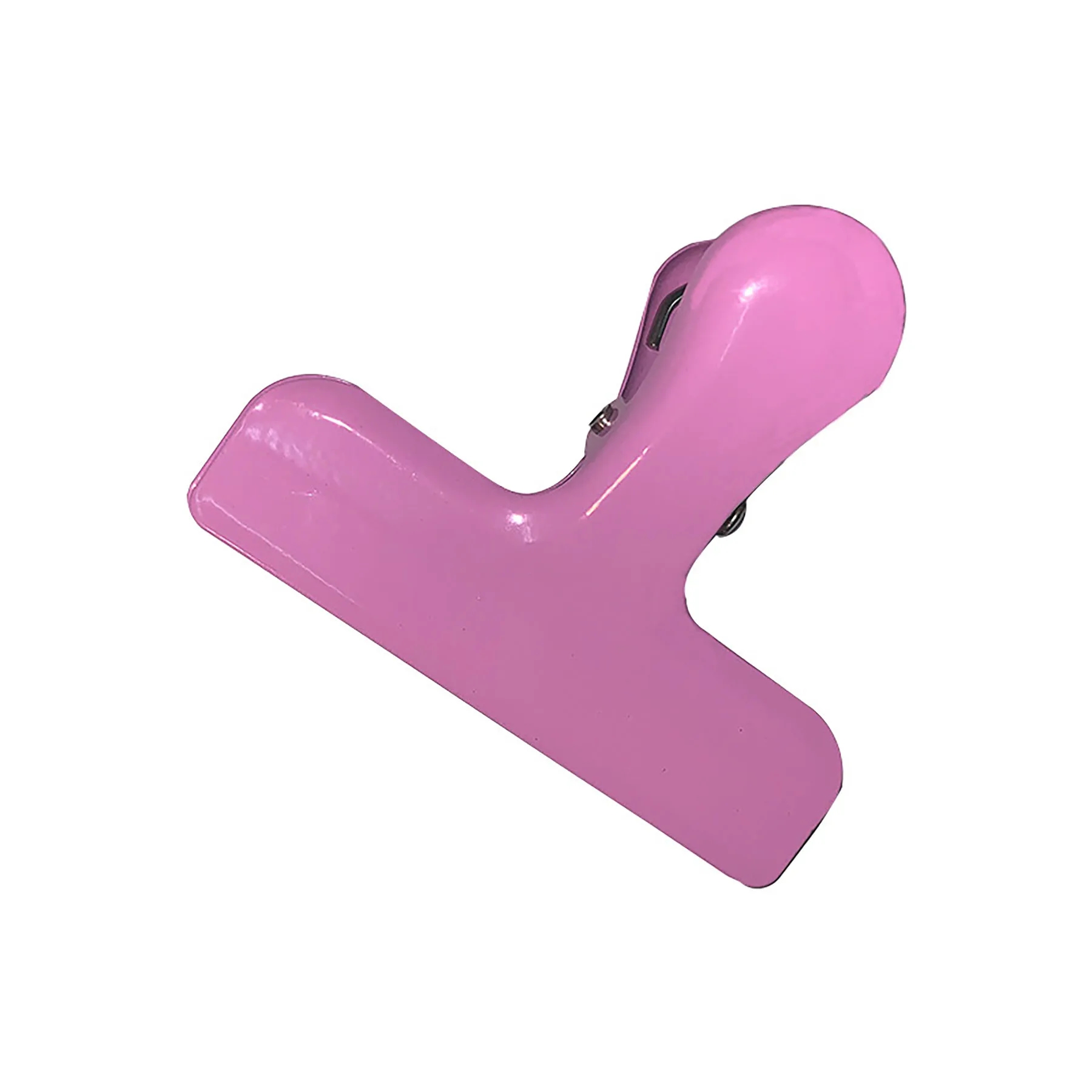 Stainless Steel  Clips 31
