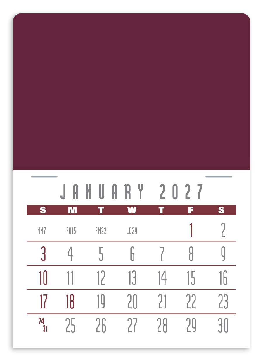 Triumph Calendars Press-N-Stick Contemporary Calendar