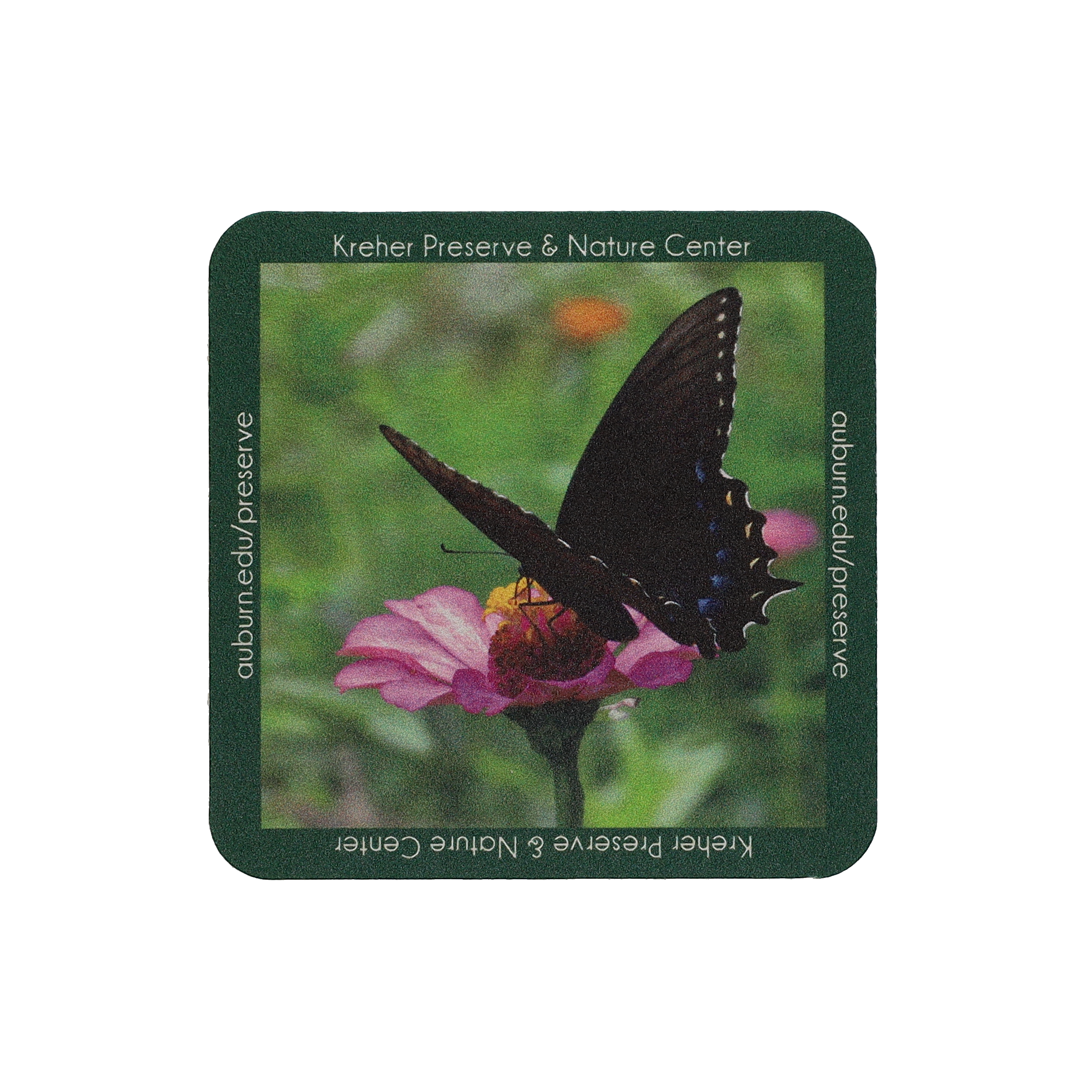 Coaster Pulpboard 80 pt 4.000" Square Digital Print 5