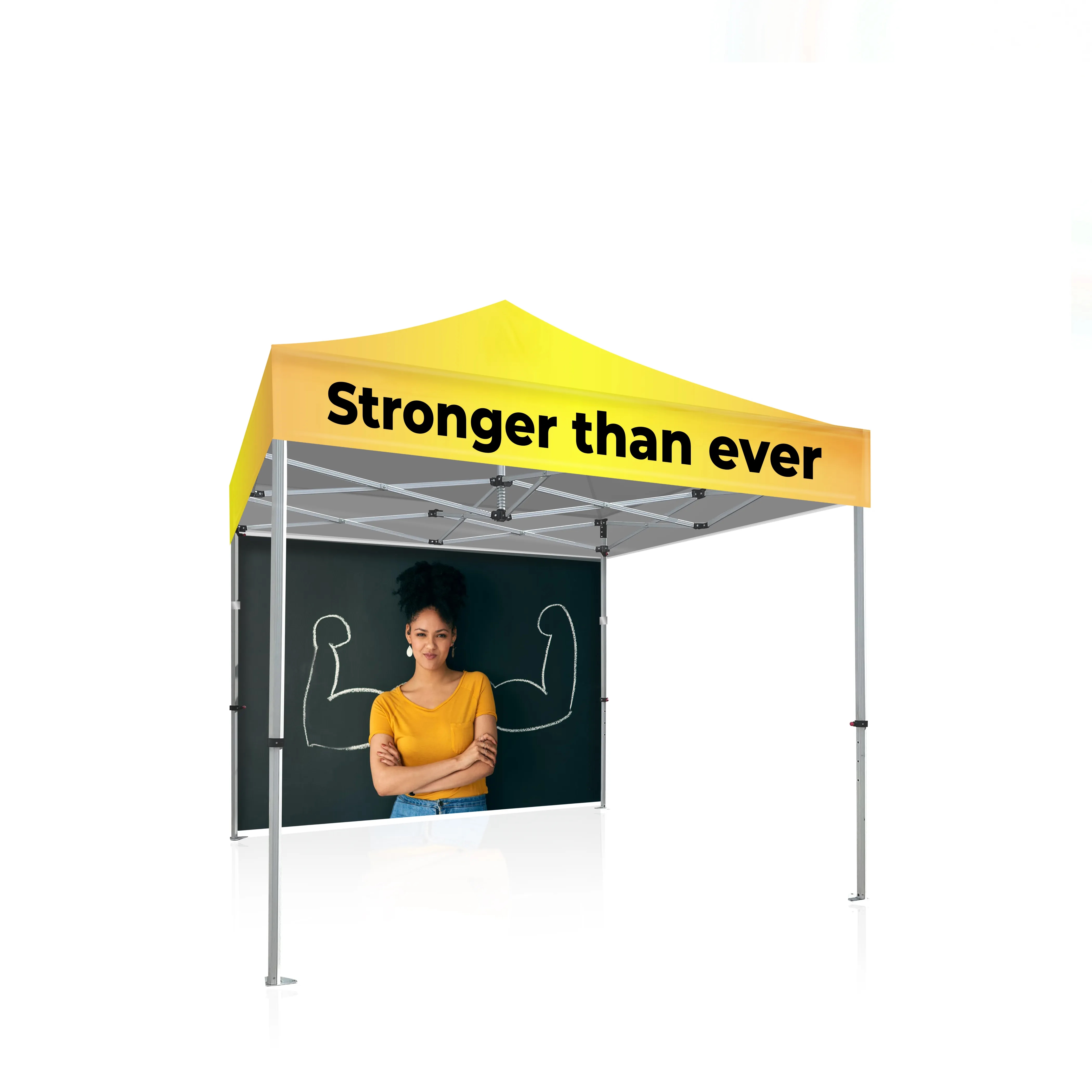 10x10 Platinum LifeTime Tent Full Color Canopy and Backwall 14