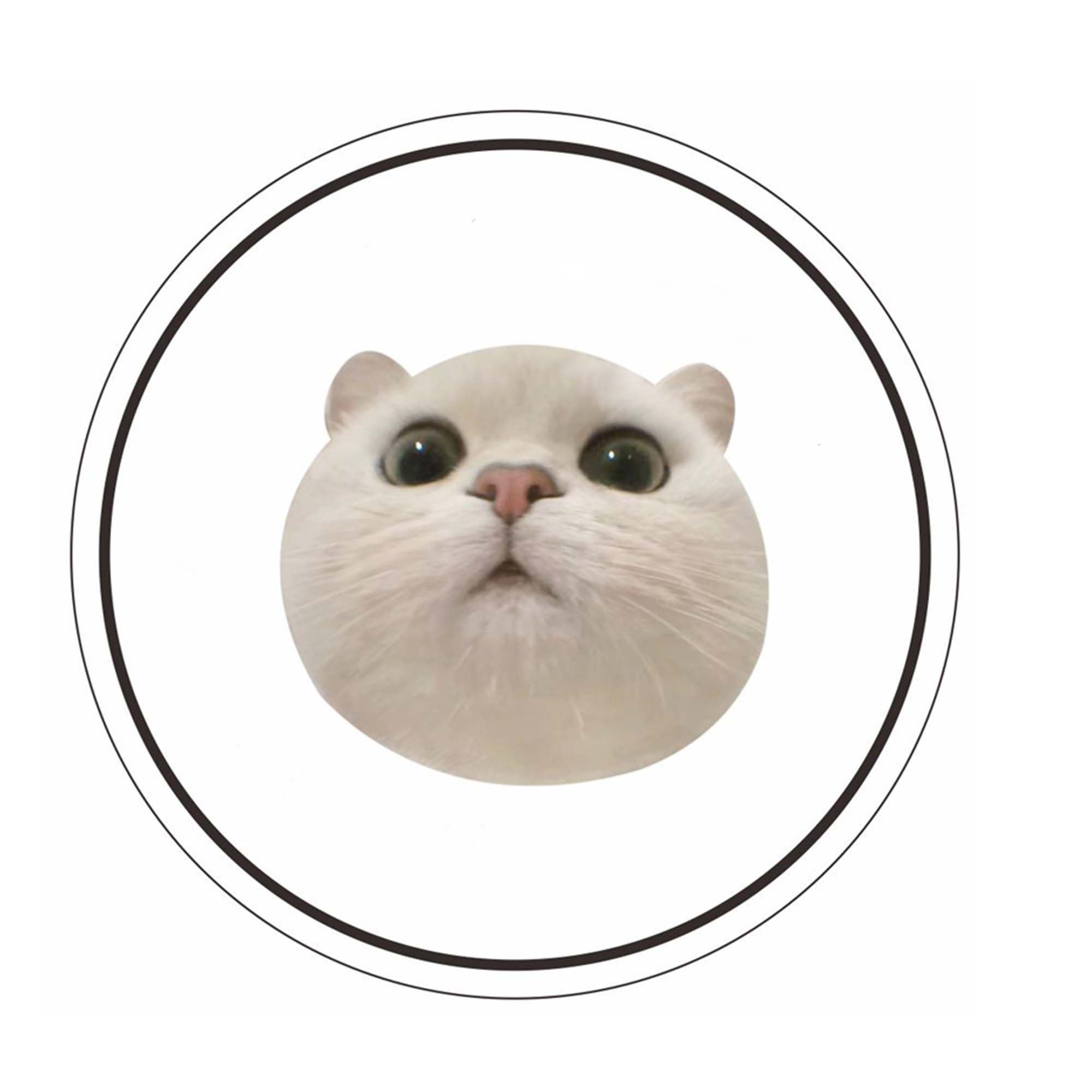 Acrylic Round Coaster