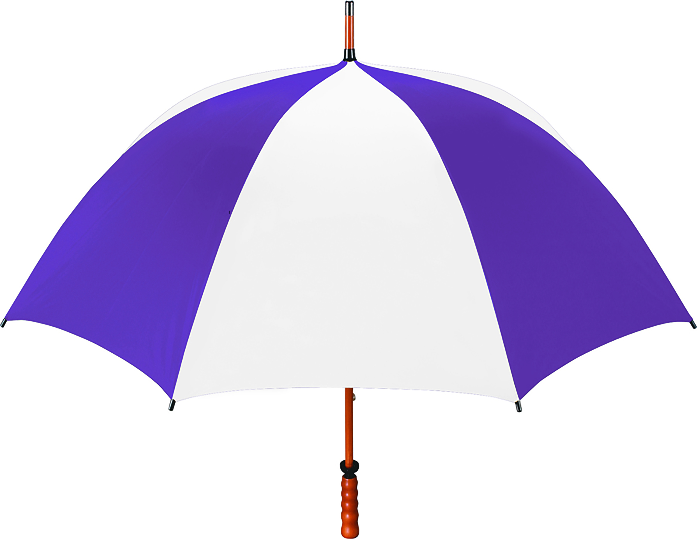The Eagle Umbrella 61