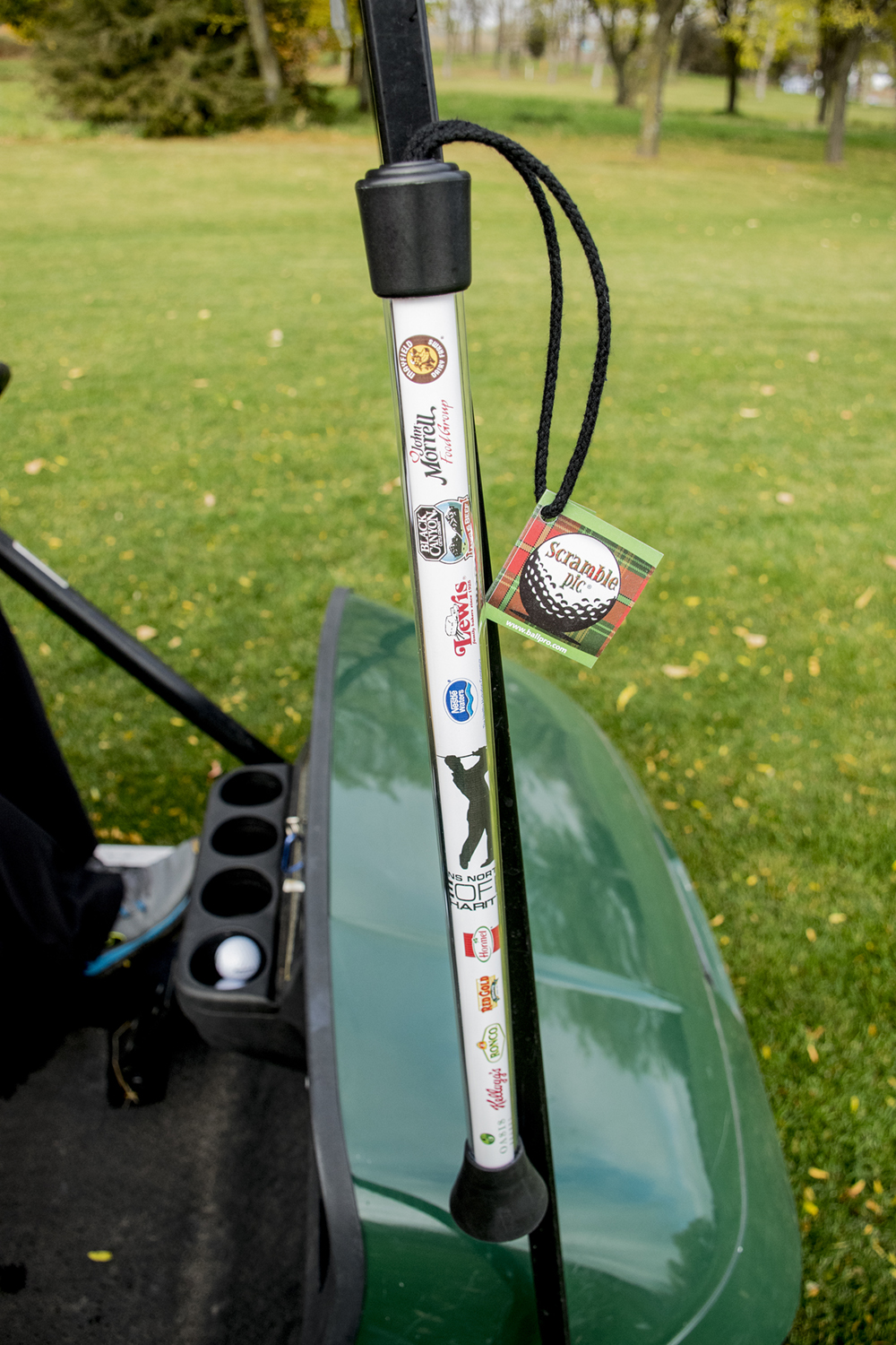 Scramble Pic Golf Tool 12