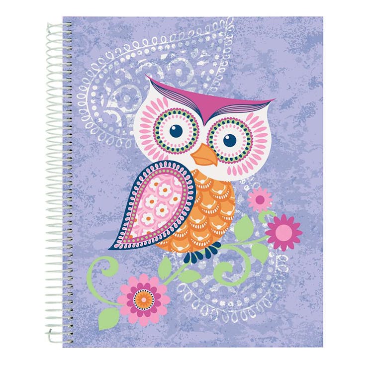 Flying Beauties Journal Notebooks Assorted 3
