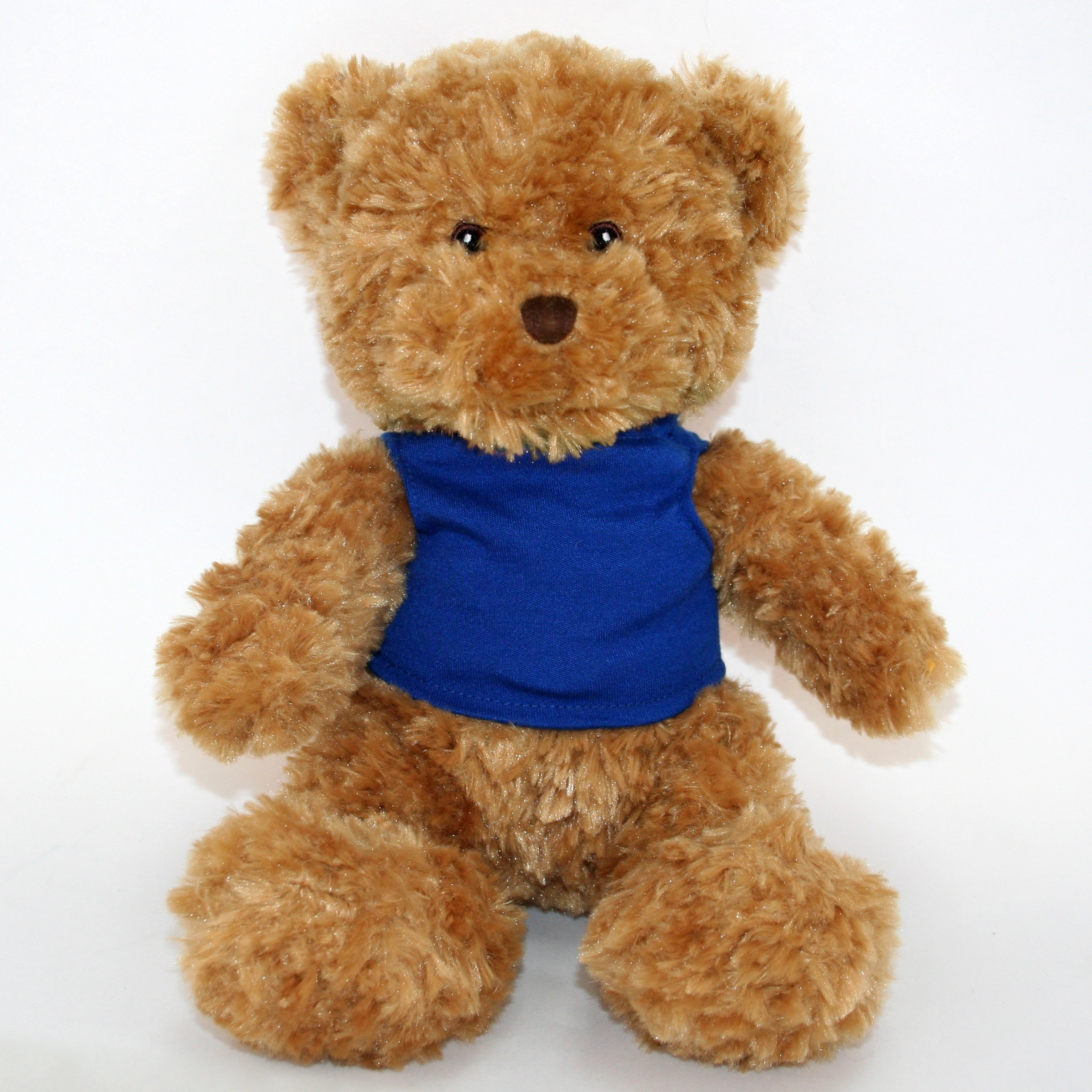 12" Golden Bear 29