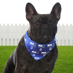 BanDoggies® Small Pet Bandanna