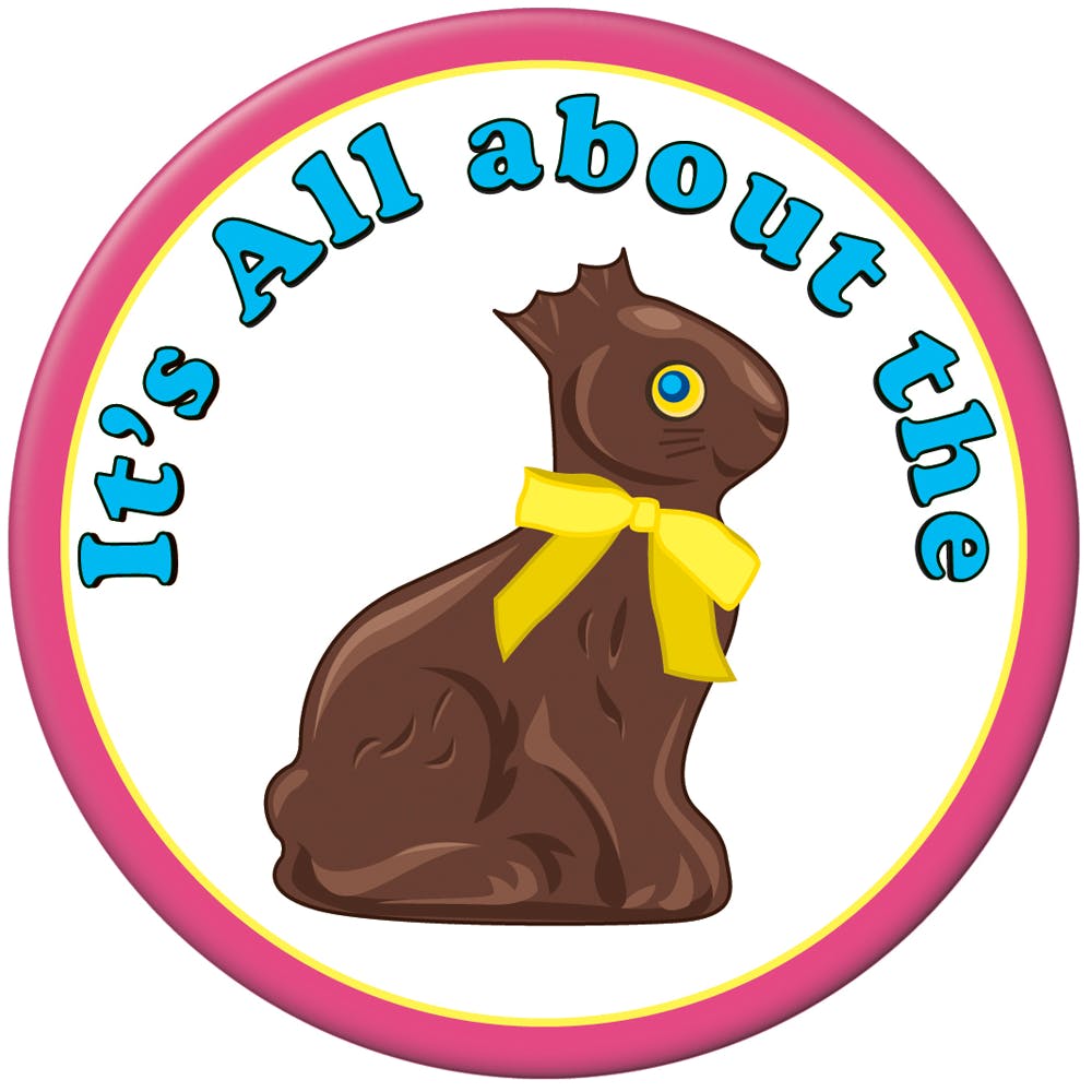 Chocolate Bunny Pins - Multicolor 3.5" 3