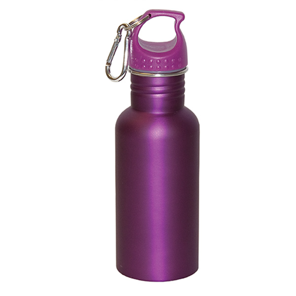 Wide Mouth 500 Ml (17 Fl. Oz.) Stainless Steel Water Bottle 32