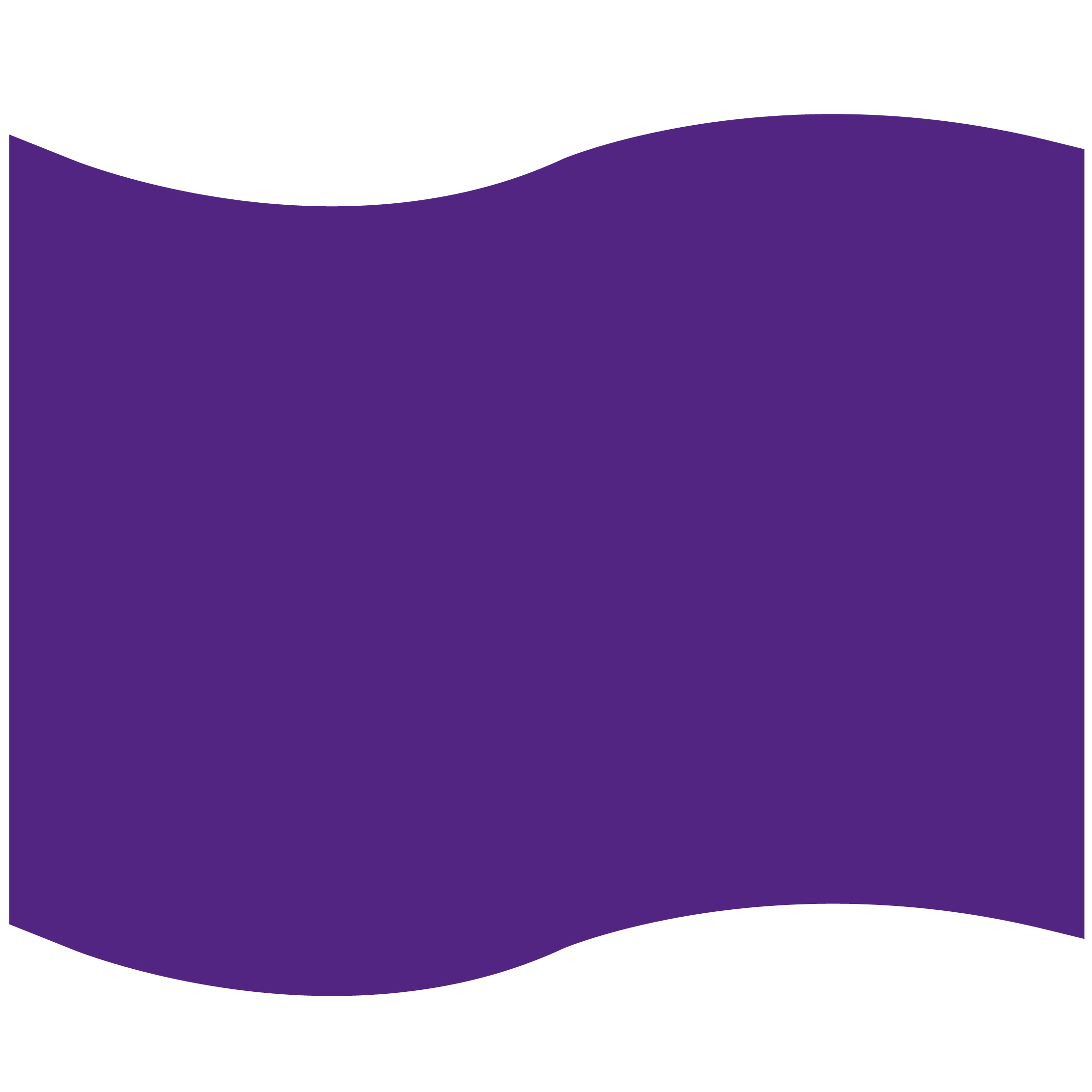 Foam Flag Mitt 38