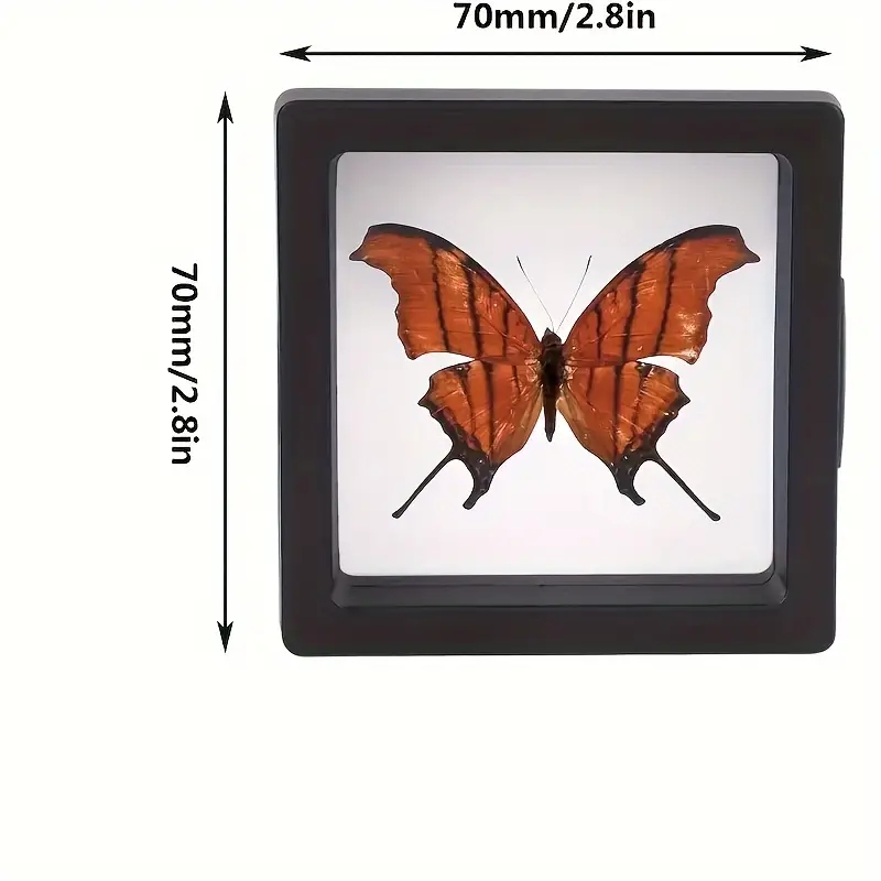 Plastic Jewelry Transparent Suspended Storage Gift Box 5