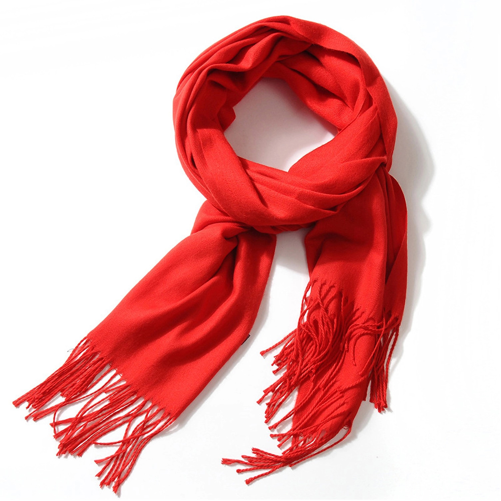 Cashmere Pashmina Woven Scarf With Fringes 20