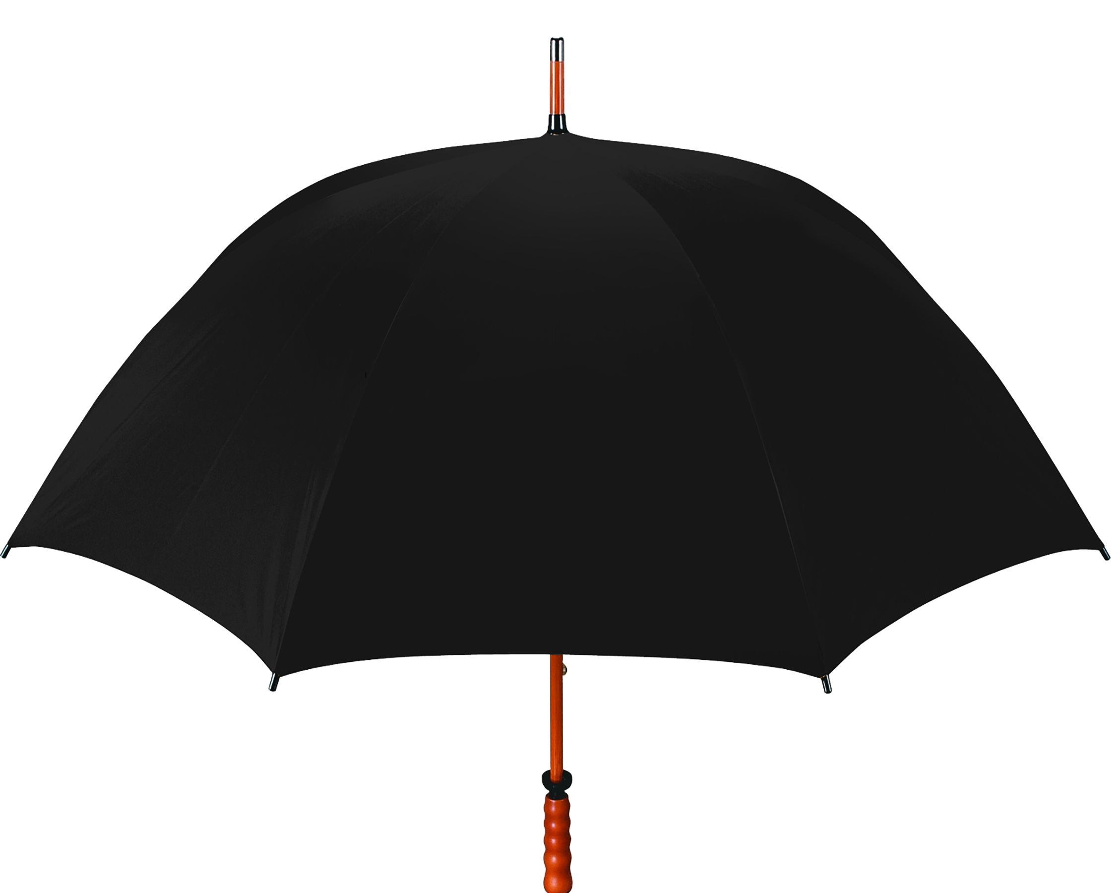 The Eagle Umbrella 59