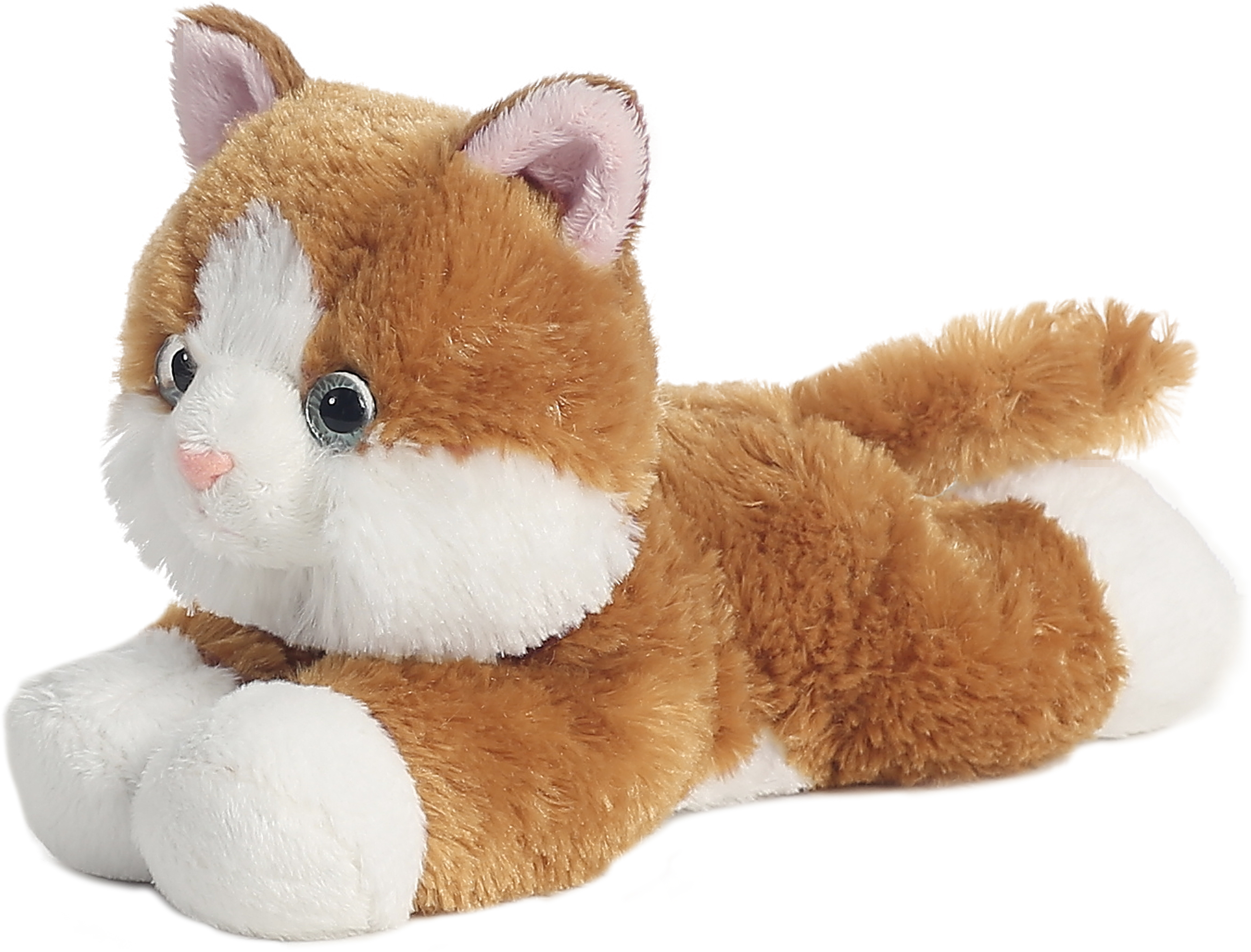 8" Sunshine Tabby Cat 4