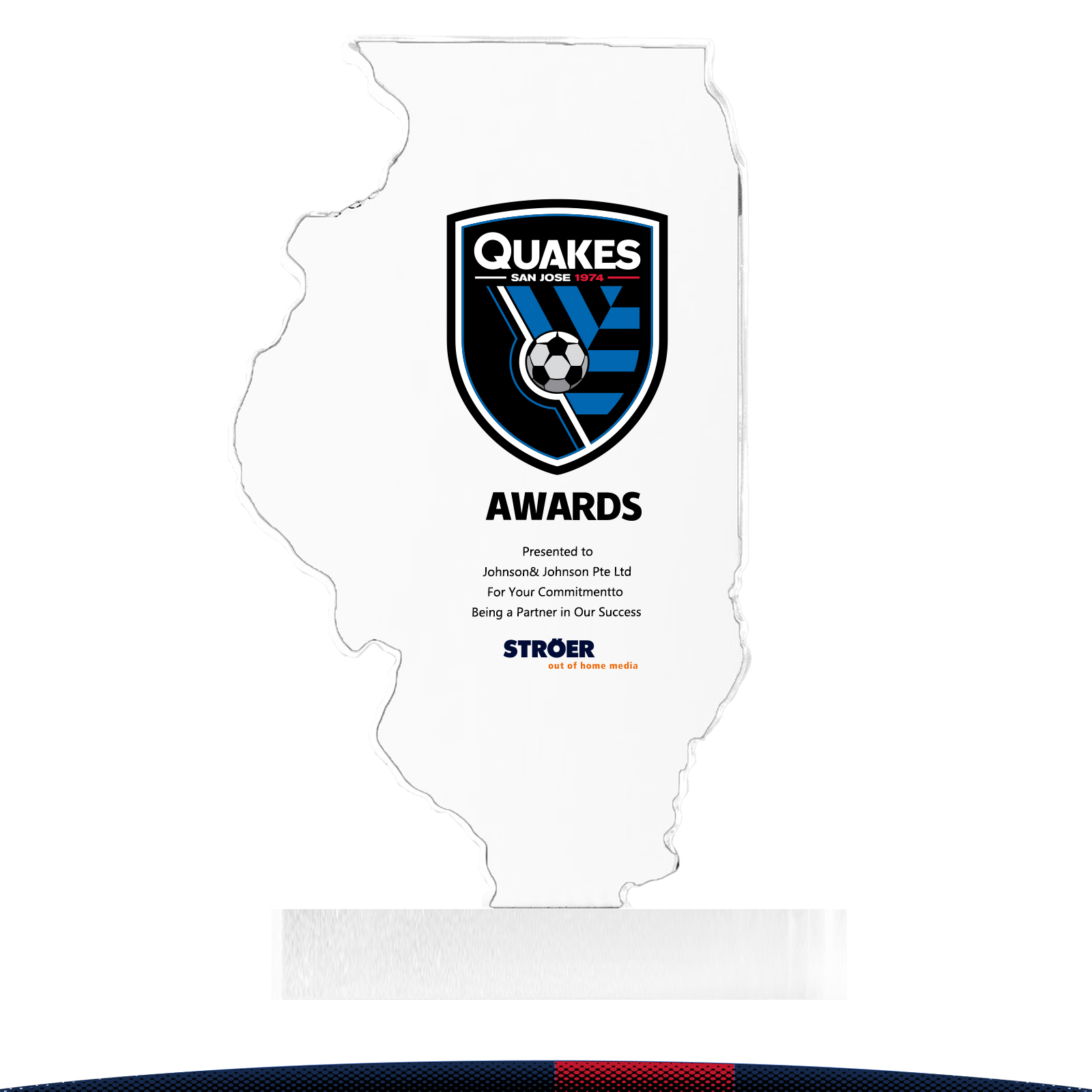 Flovix Illinois Crystal Award