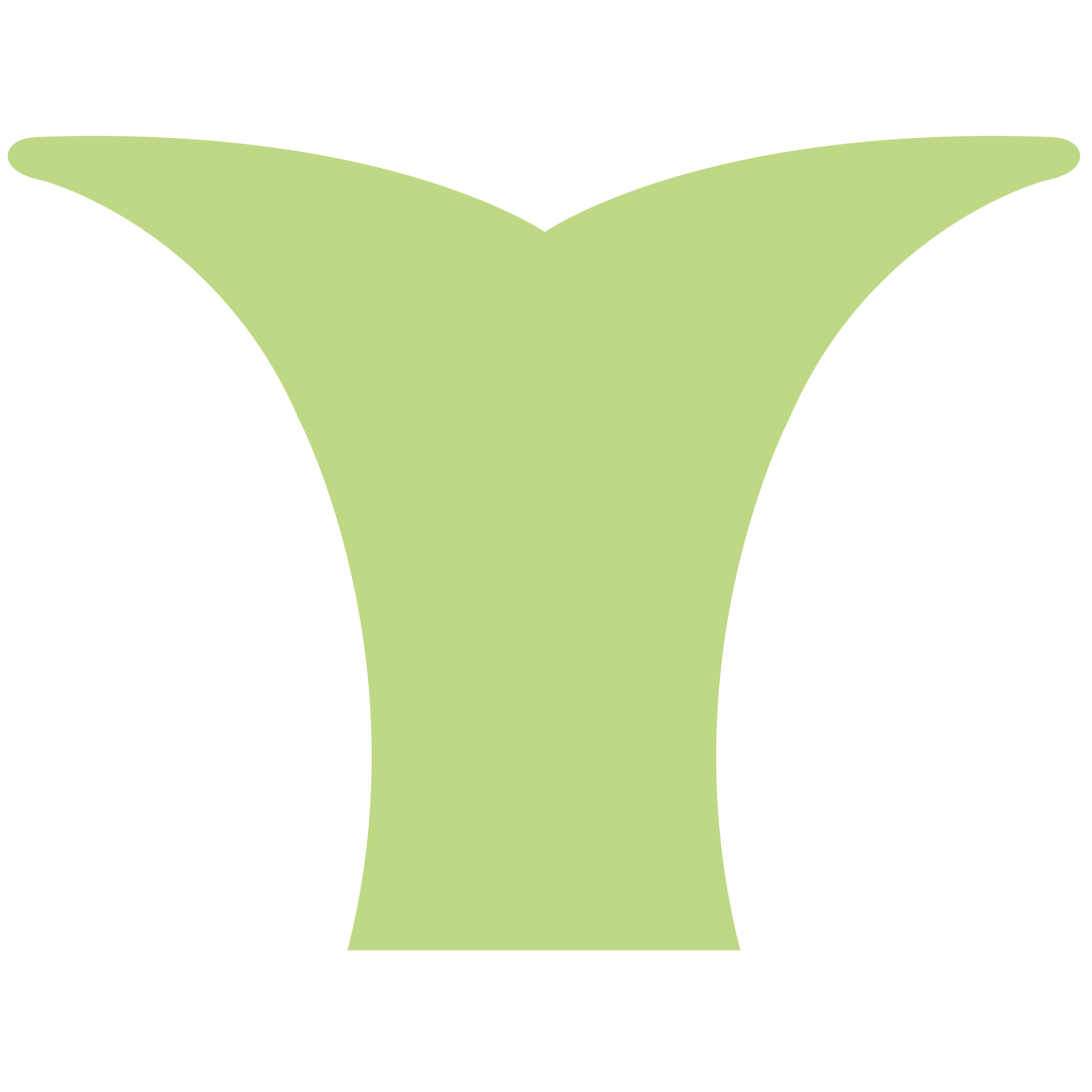 Whale Tail 53